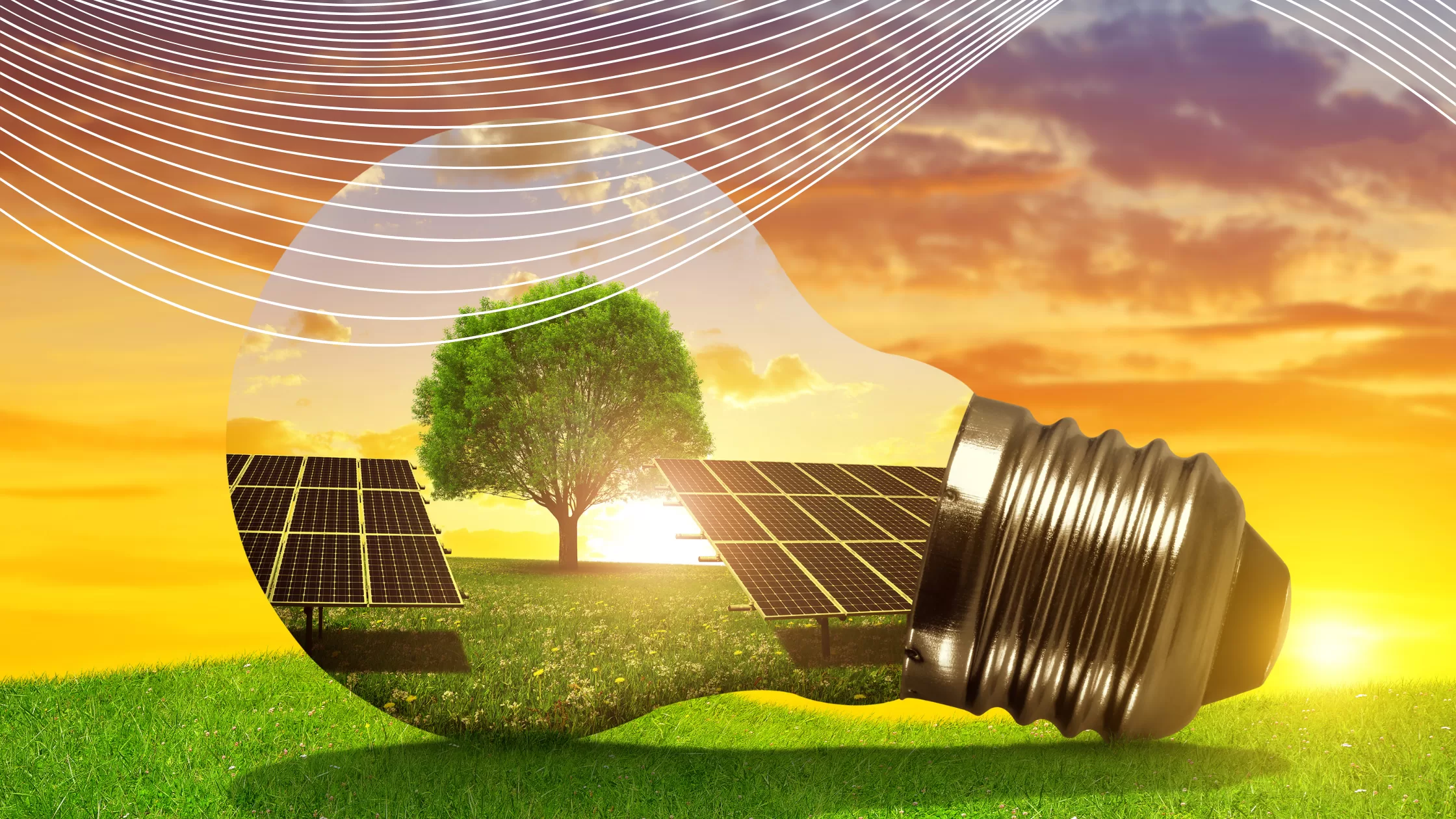 Cooperativa de Energia Solar